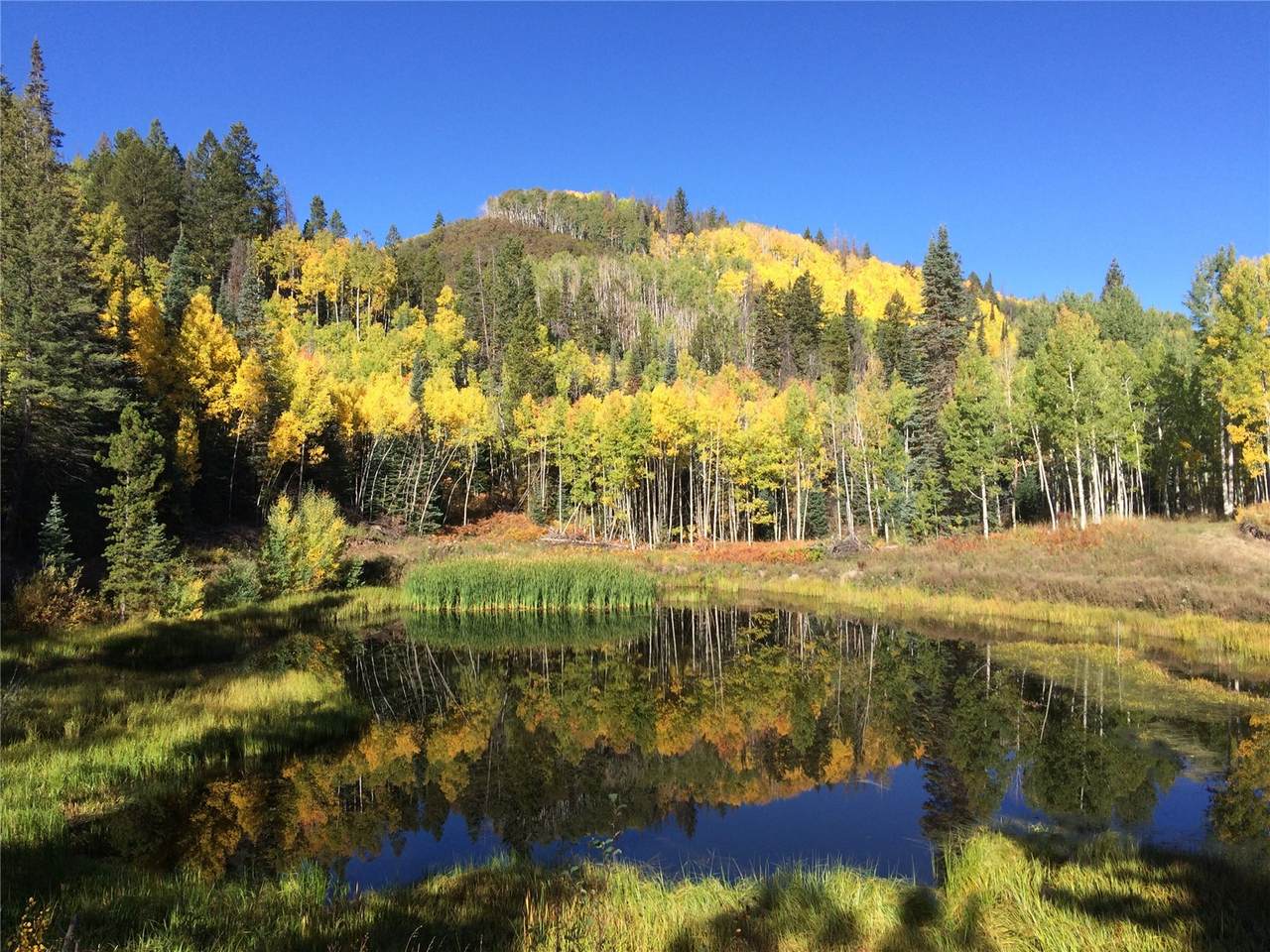 21195 Cheyenne Trail - Photo 1