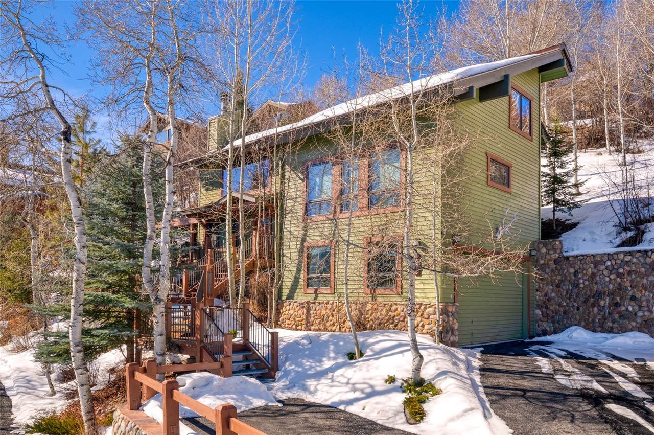 36836 Tree Haus Drive - Photo 1