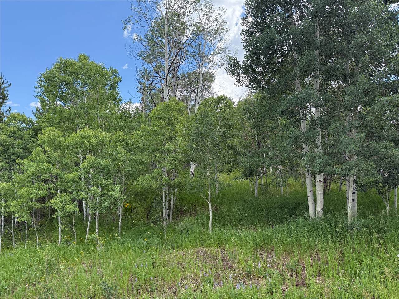 33413 Tewa Way - Photo 1