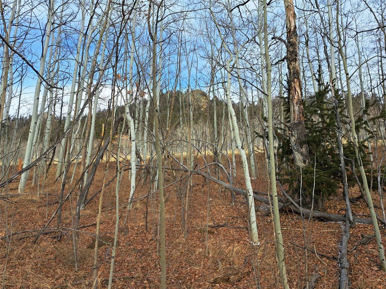 503 Sugar Loaf Lane - Photo 1