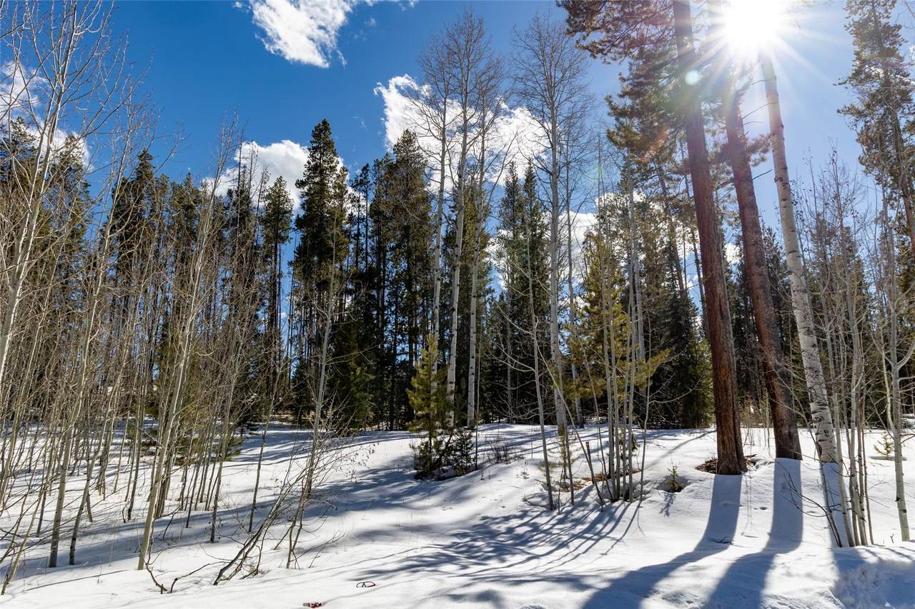20905 Clydesdale Way - Photo 1