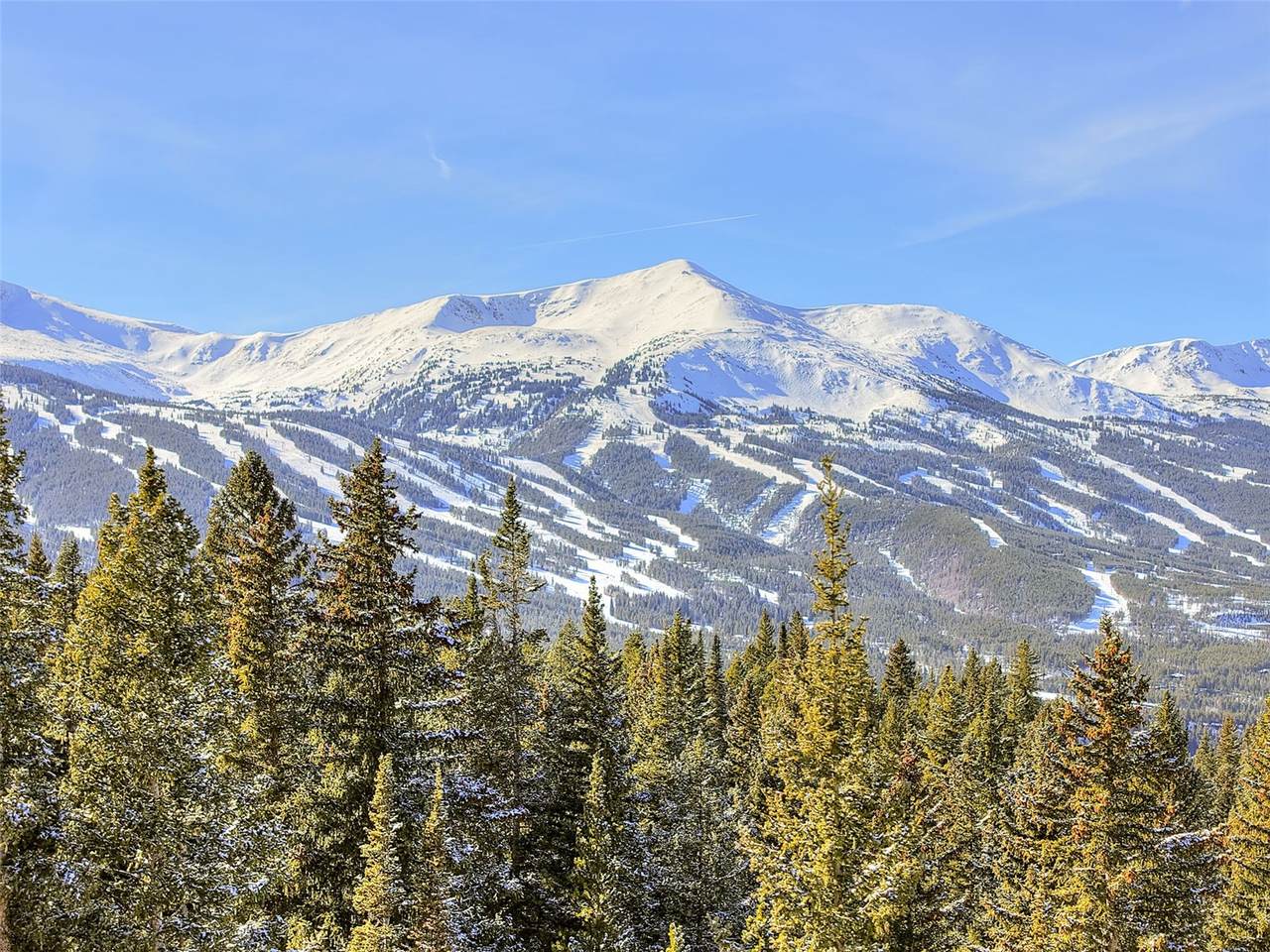 3362 Boreas Pass Road - Photo 1