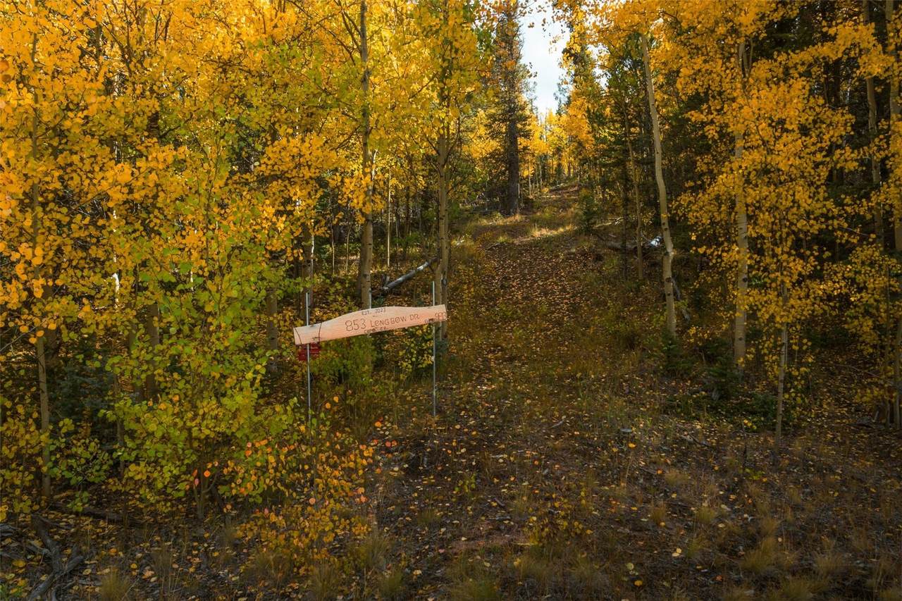 853 Longbow Drive - Photo 1