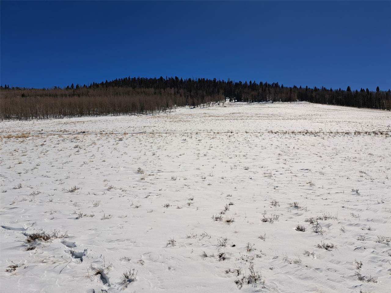 00 Jicarilla Trail - Photo 1