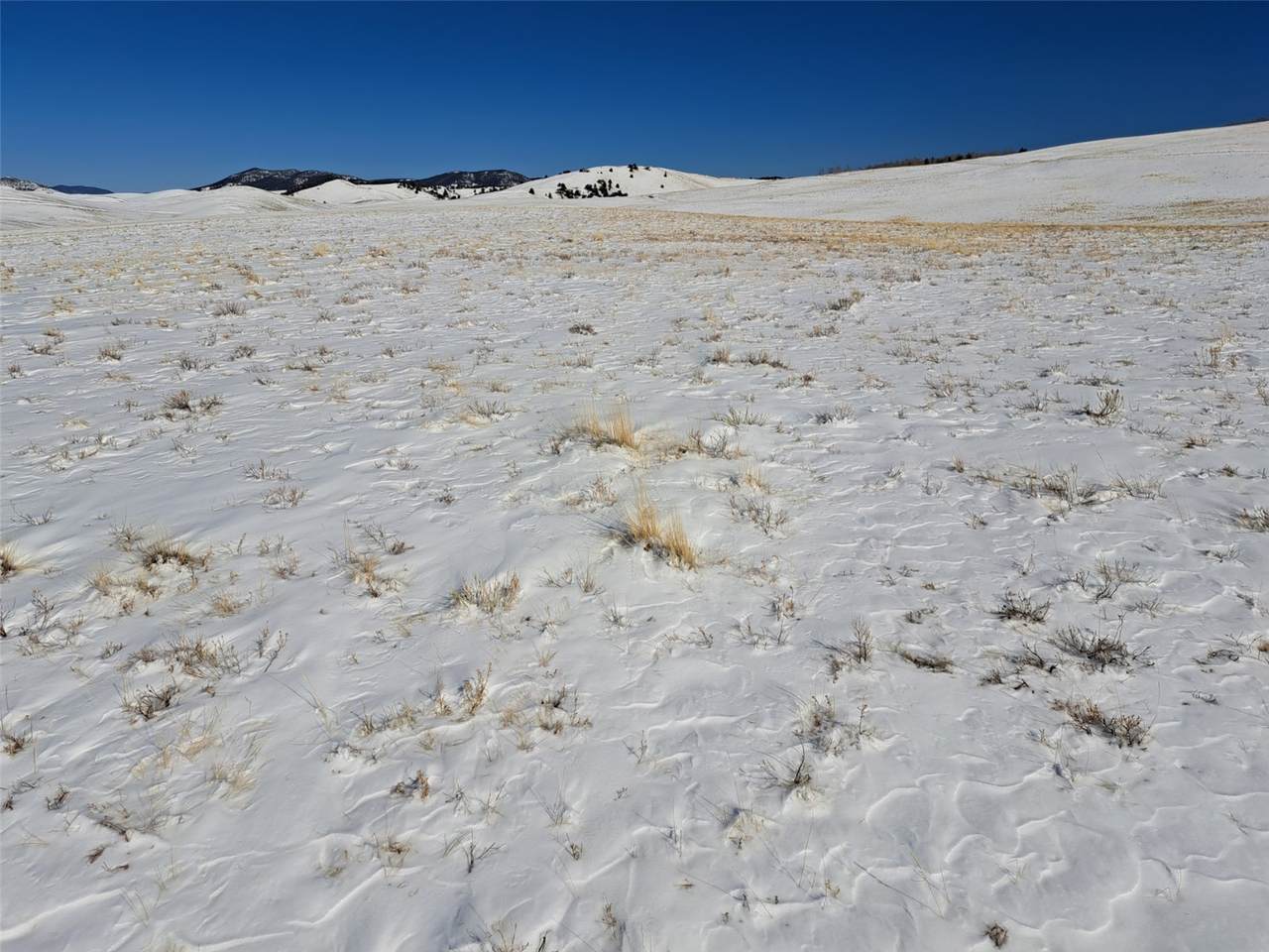 https://bt-photos.global.ssl.fastly.net/summit/1280_boomver_1_S1067662-2.jpg