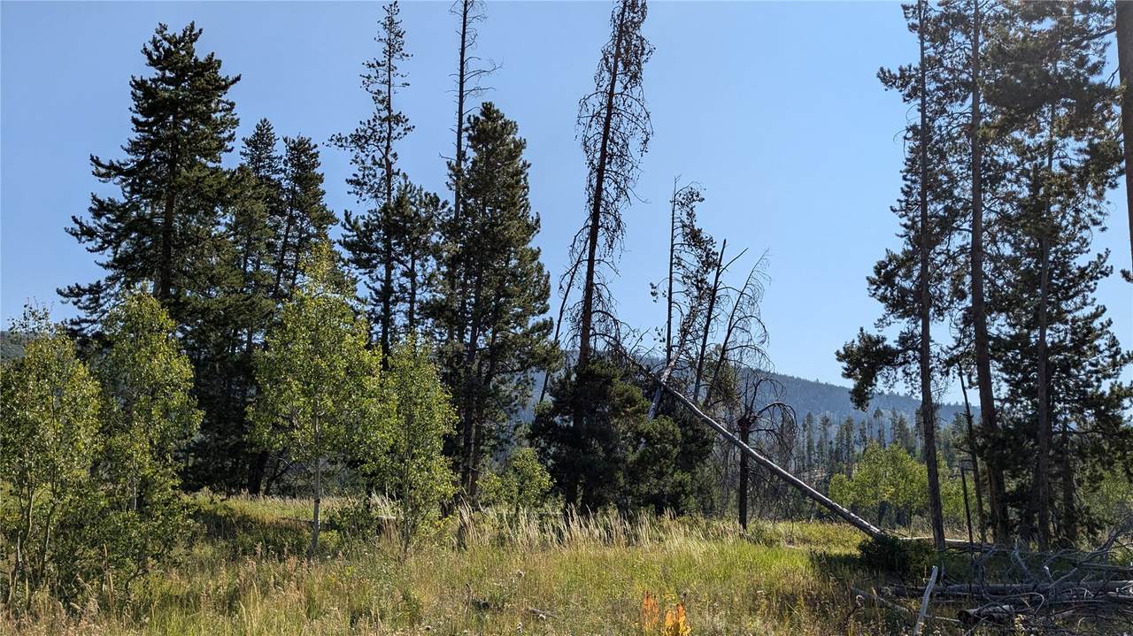 000 Halter Trail - Photo 1