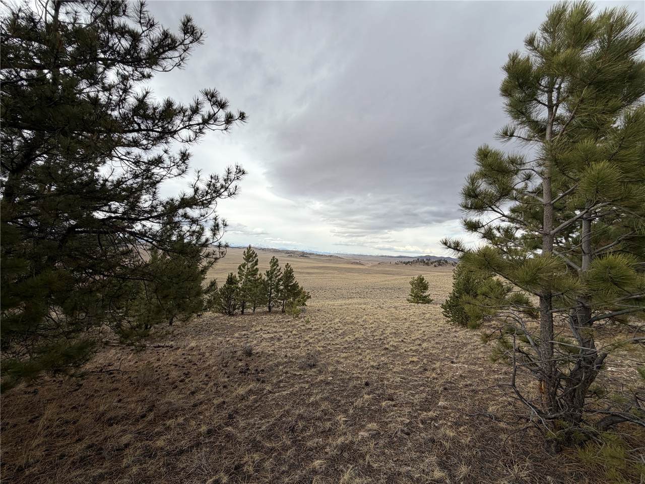 990 Coyotero Trail - Photo 1