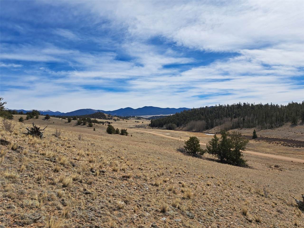 3646 Remington Road - Photo 1