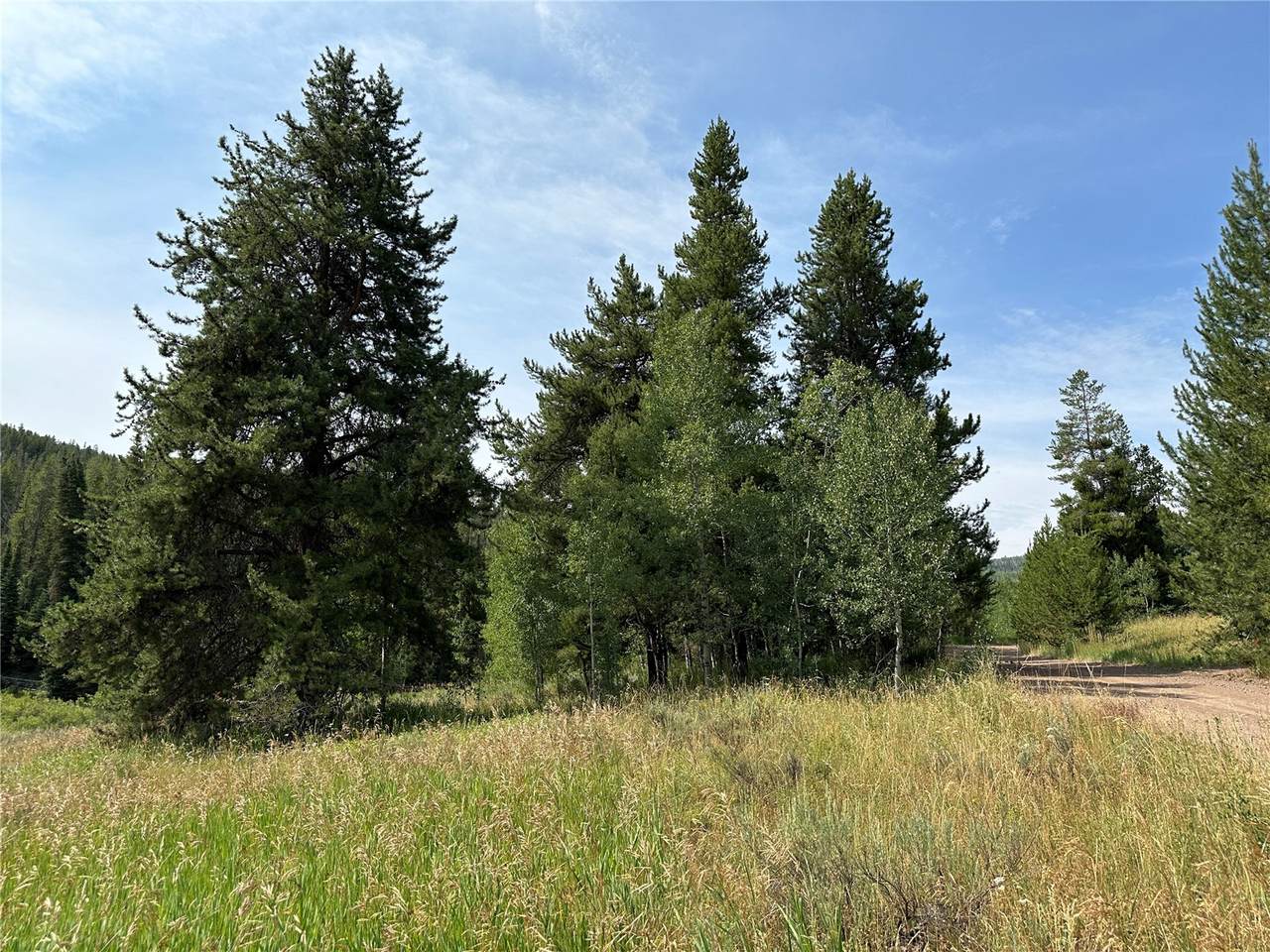 32518 Ute Trail - Photo 1