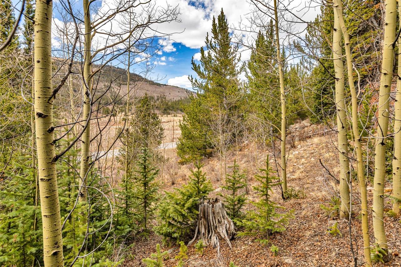 55780 Highway 9 - Photo 1