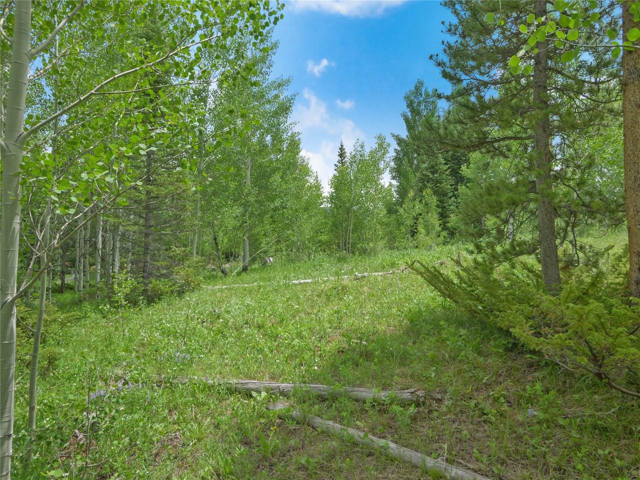 616 Aspen Drive - Photo 1