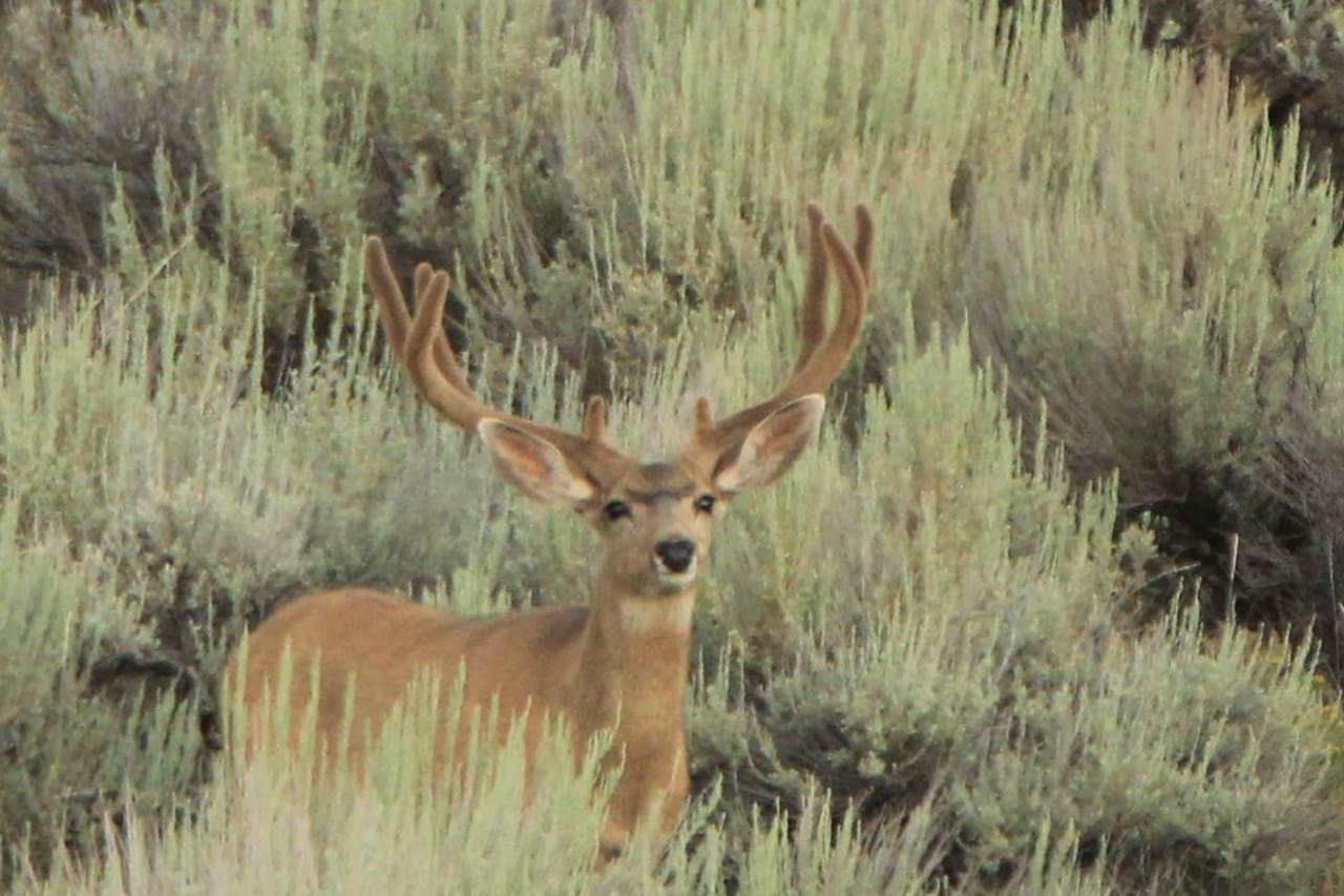 TBD Highway 40 - Photo 1