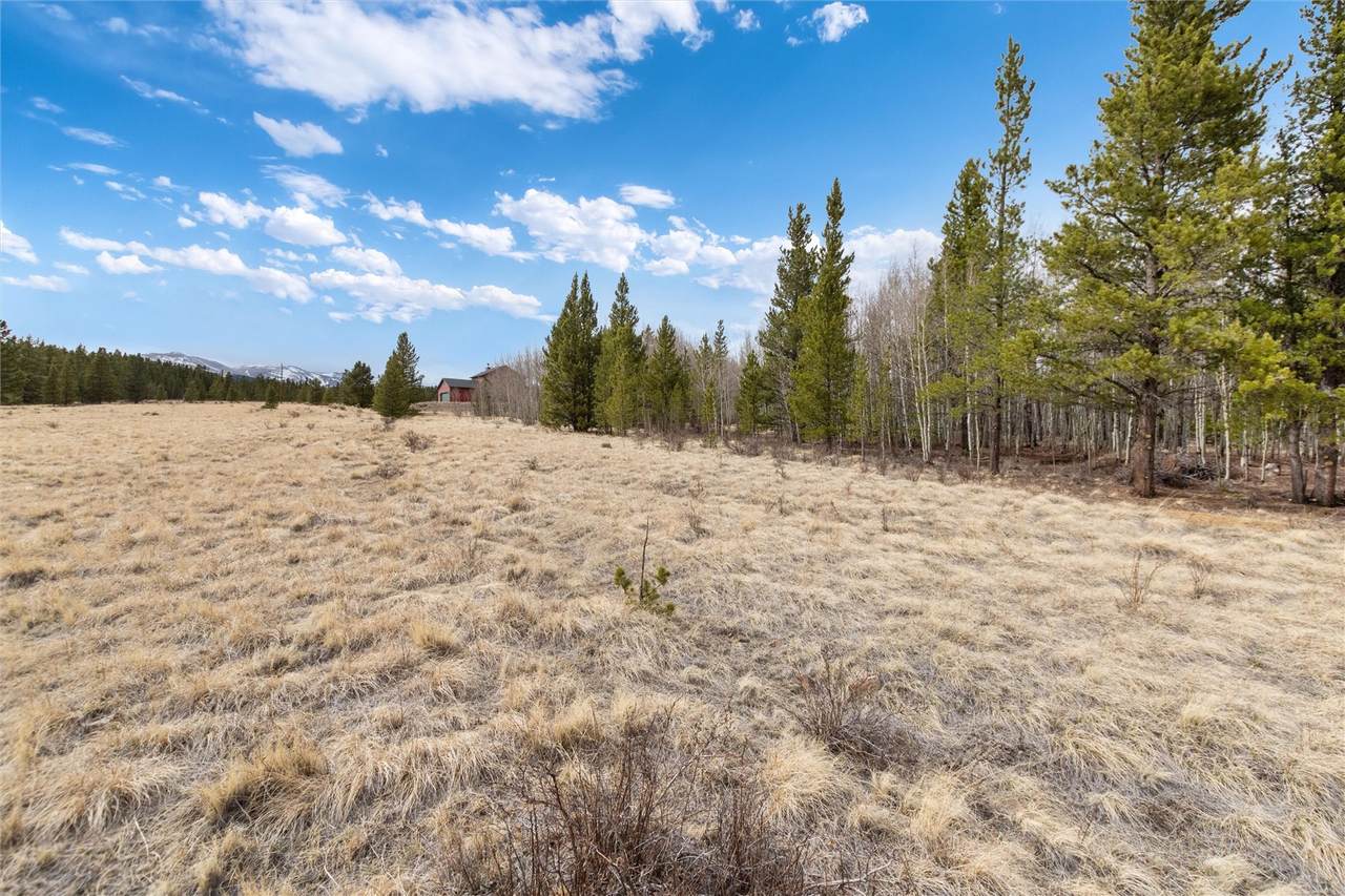 0 Bluestem - Photo 1