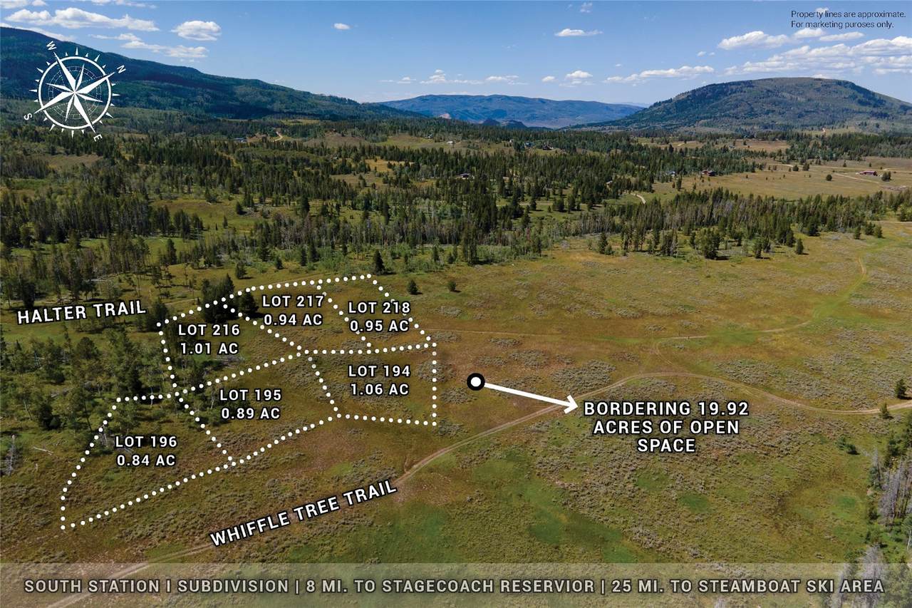 195 Halter Trail - Photo 1
