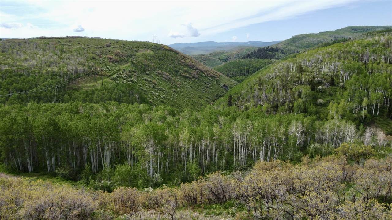 24425 Lone Tooth Trail - Photo 1