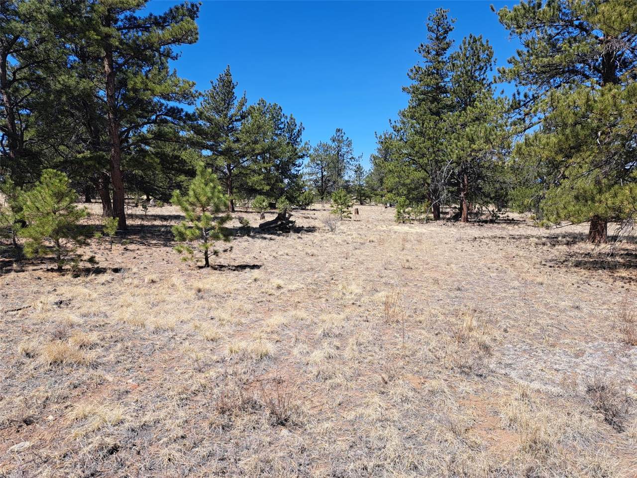 235 Maricopa Trail - Photo 1