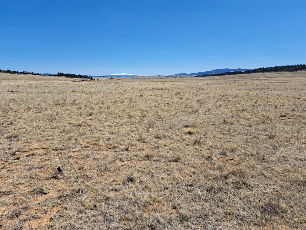 00 Chickasaw Road - Photo 1