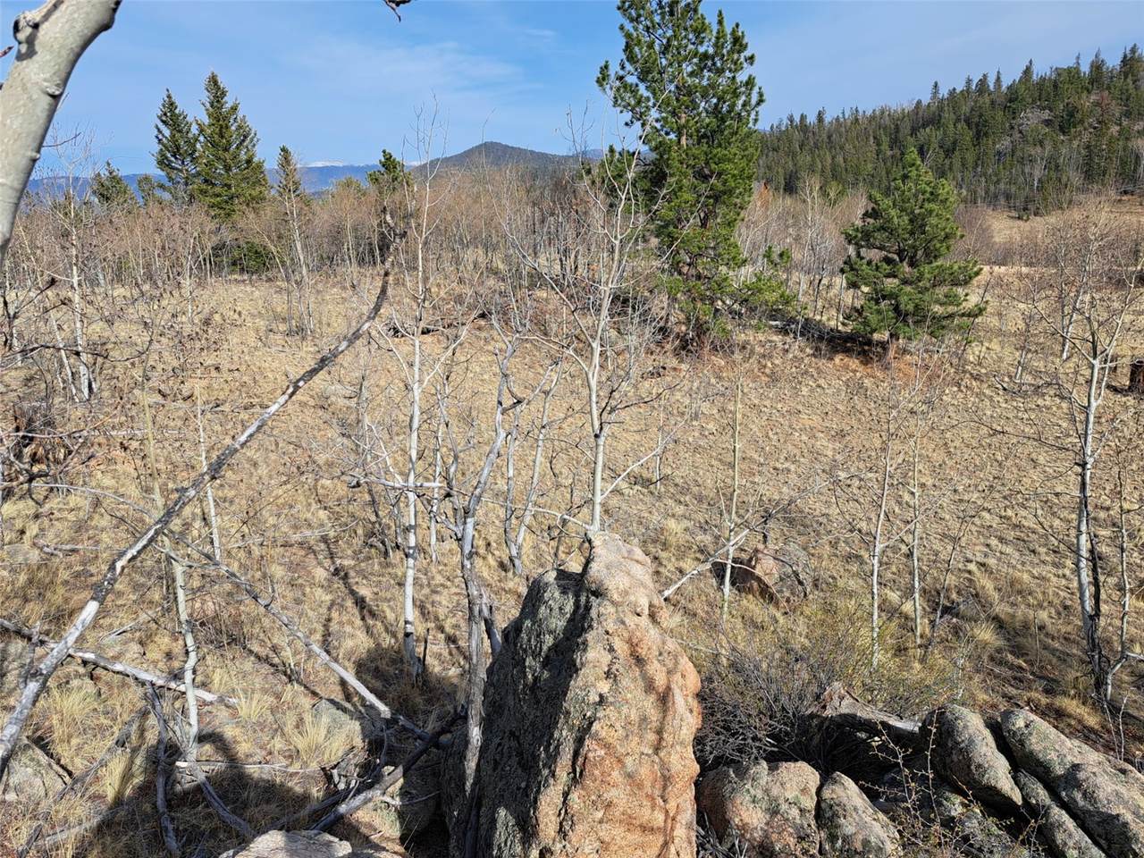 https://bt-photos.global.ssl.fastly.net/summit/1280_boomver_1_S1068350-2.jpg