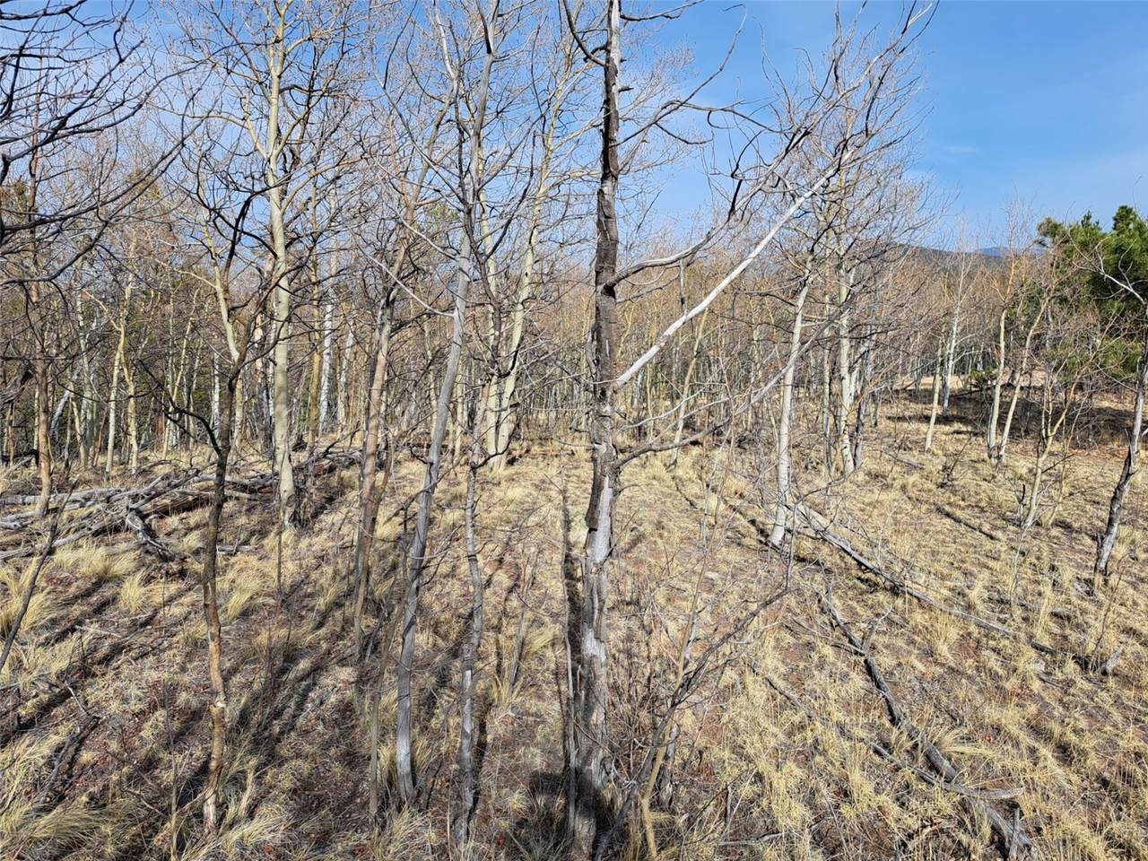 https://bt-photos.global.ssl.fastly.net/summit/1280_boomver_1_S1068350-2.jpg