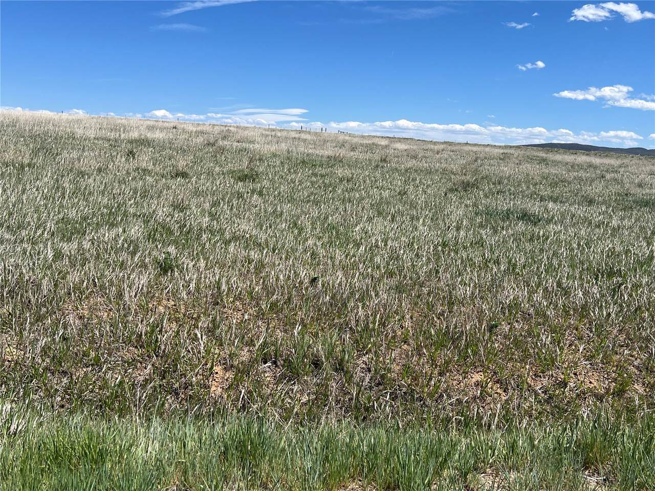 https://bt-photos.global.ssl.fastly.net/summit/1280_boomver_1_S1069032-2.jpg