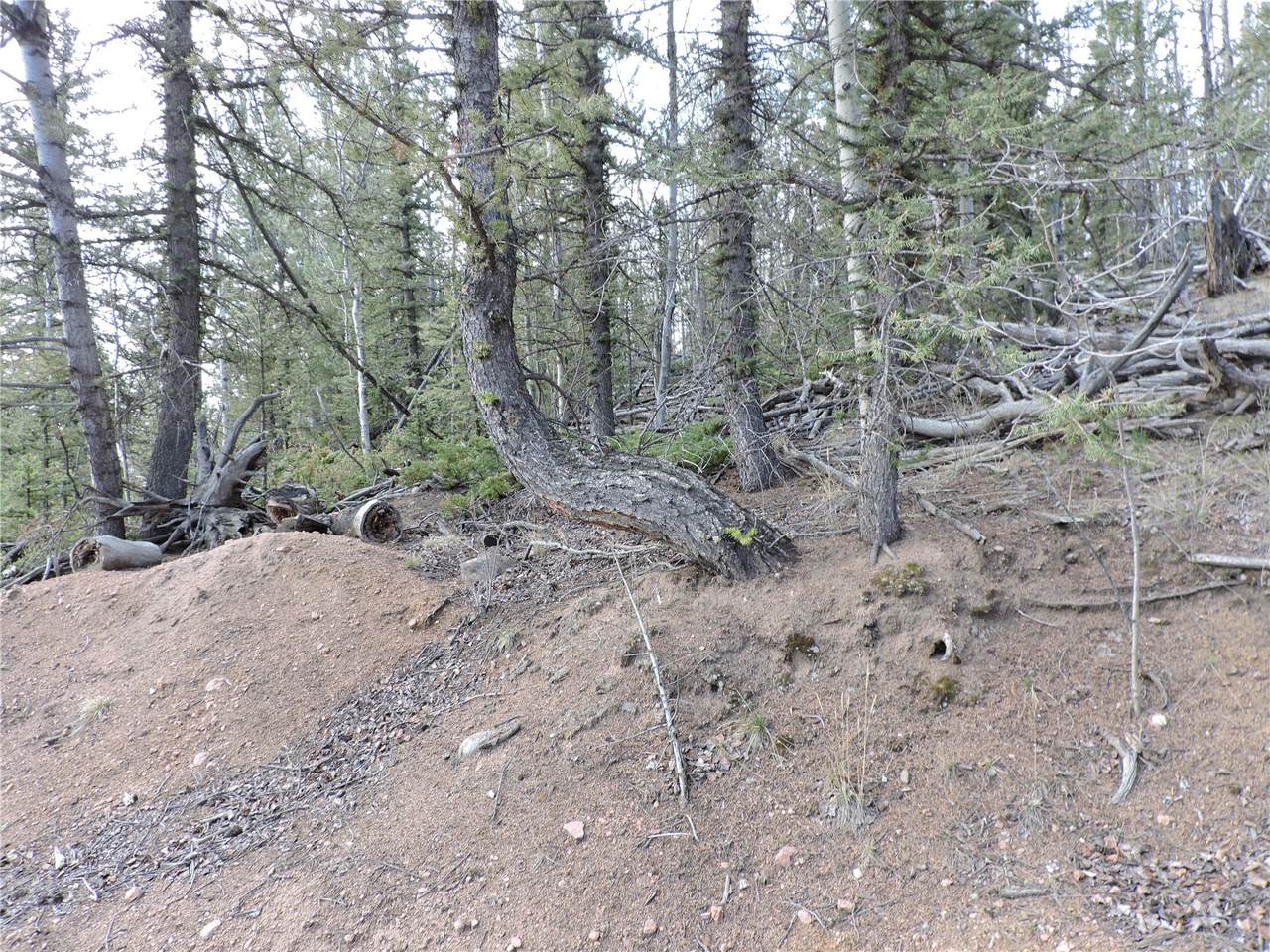 258 Old Squaw Road - Photo 1