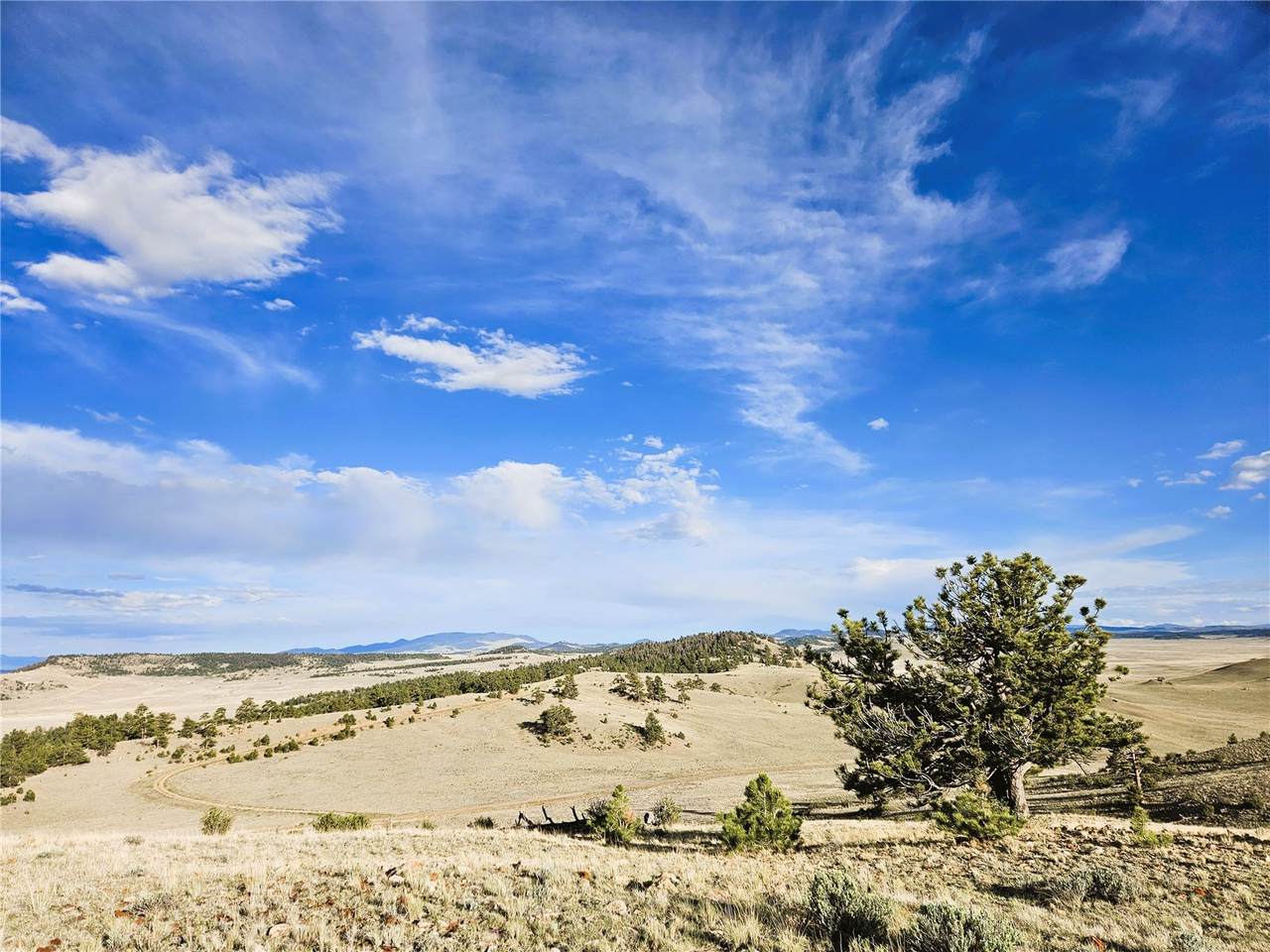 PCS#24142 Antero Road - Photo 1