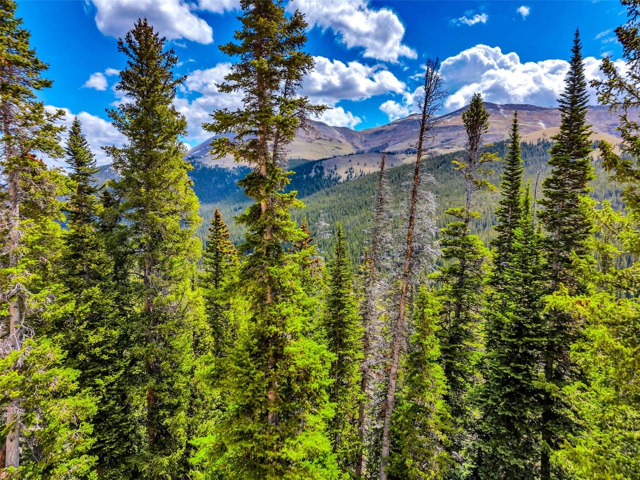 105 & 71 Quandary View - Photo 1