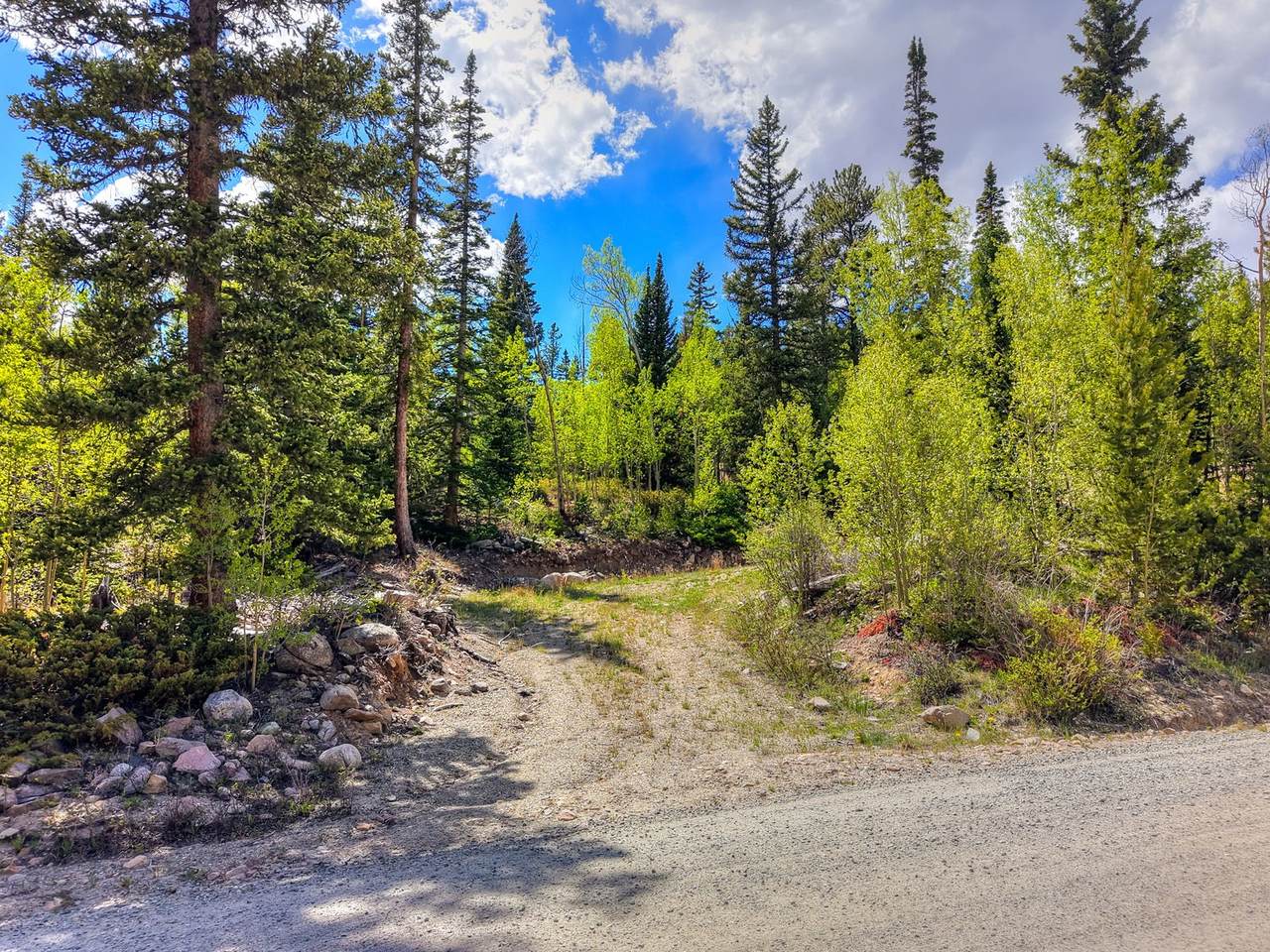 253 Mine Dump Road - Photo 1
