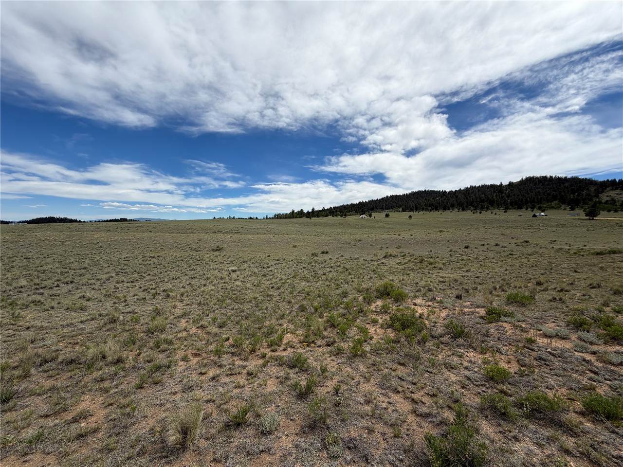 776 Commanche Trail - Photo 1