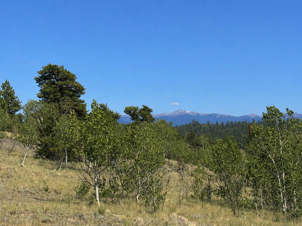 https://bt-photos.global.ssl.fastly.net/summit/1280_boomver_1_S1070117-2.jpg