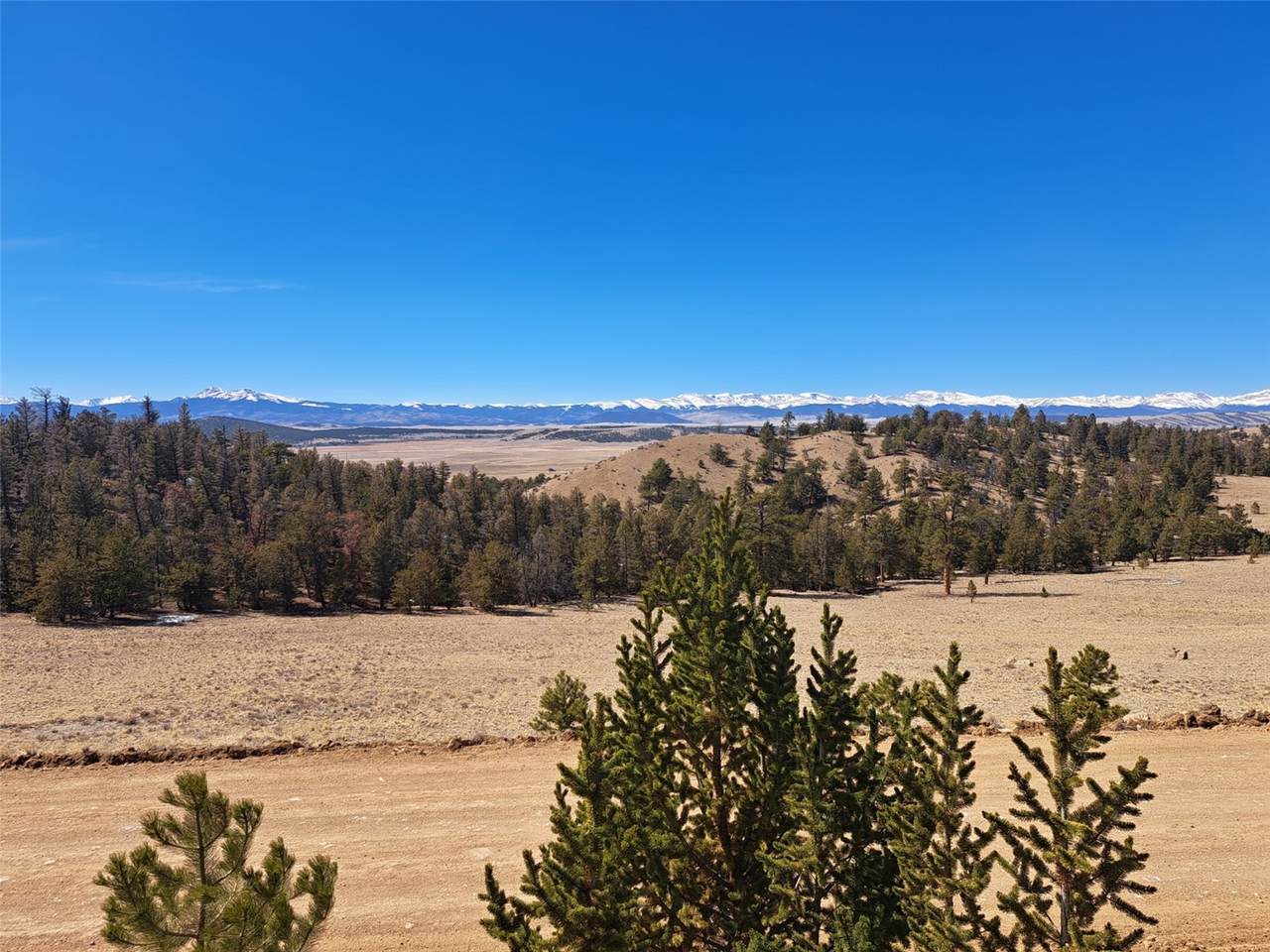 369 Summit Road - Photo 1
