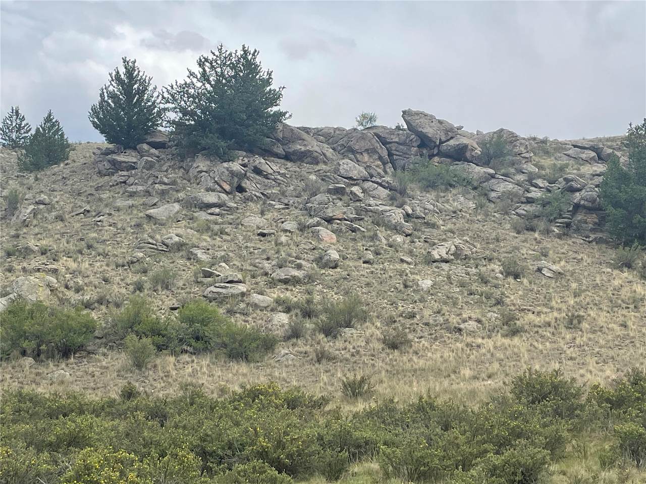 924 Mustang Road - Photo 1