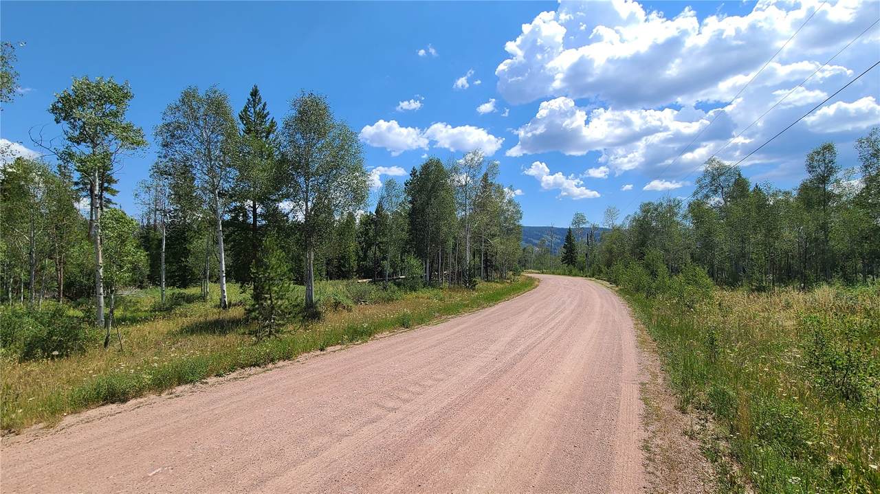 20810 Filly Trail - Photo 1