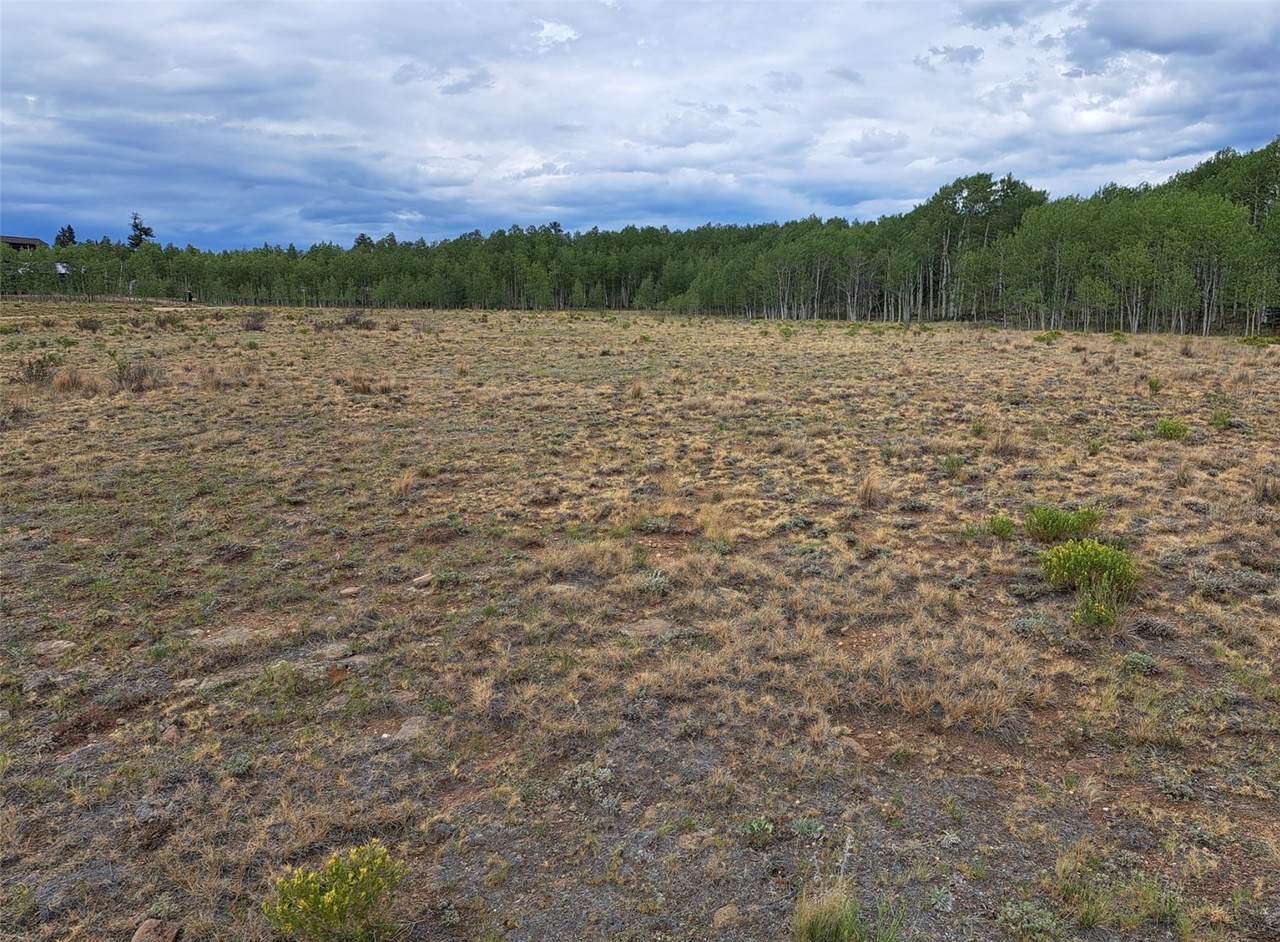 539 Mustang Trail - Photo 1