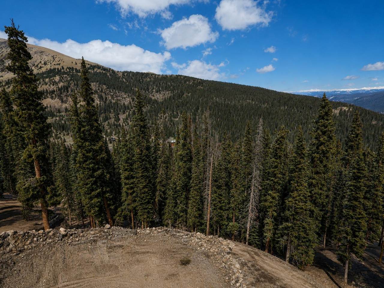 450 Quandary View Drive - Photo 1