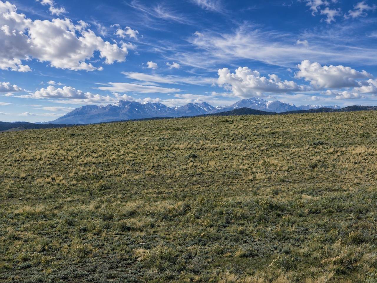 2972 Jumano Trail - Photo 1