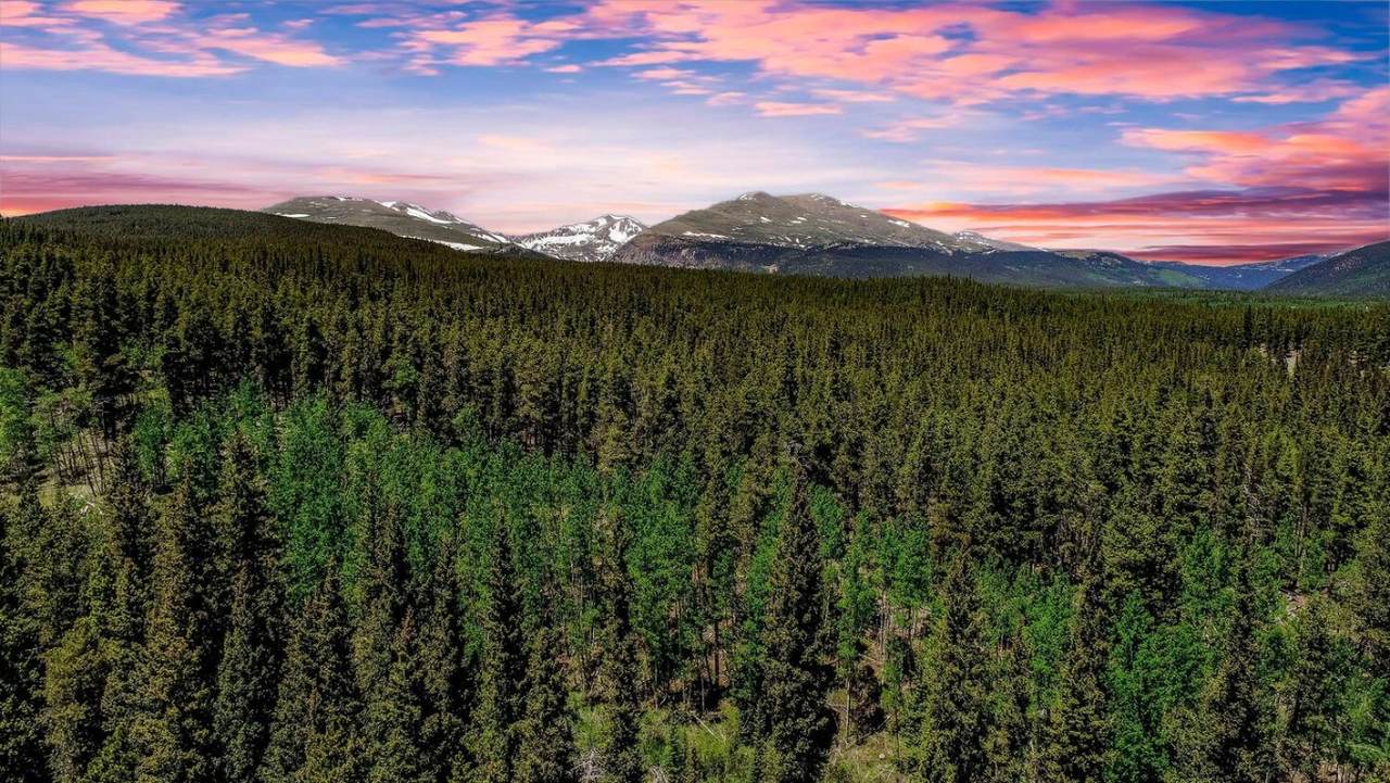 4100 Co Rd 1 - Photo 1