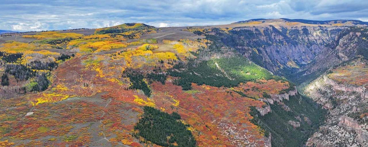 000 Coffee Pot Road - Photo 1