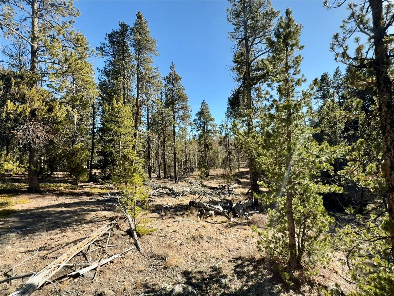 235 Willow Lane - Photo 1