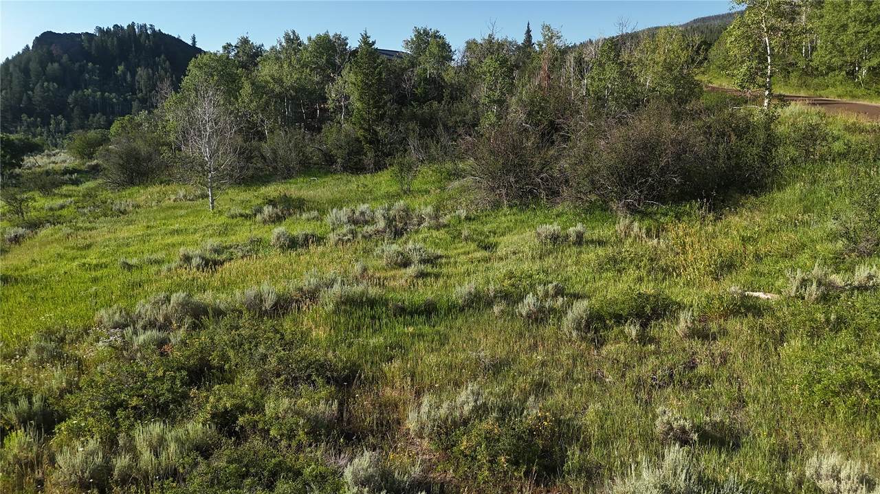 31145 Broken Talon Trail - Photo 1