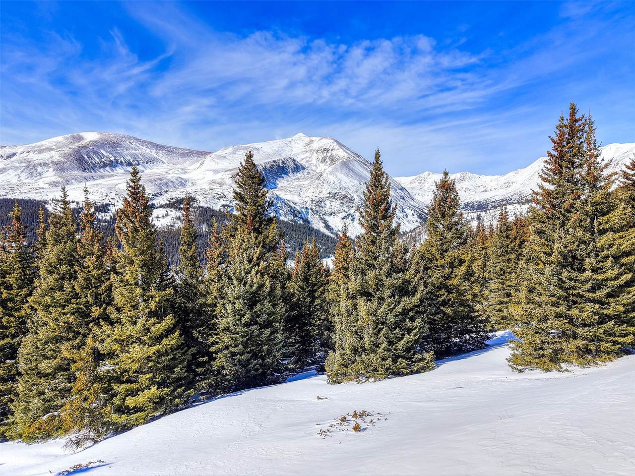 58969 Highway 9 - Photo 1