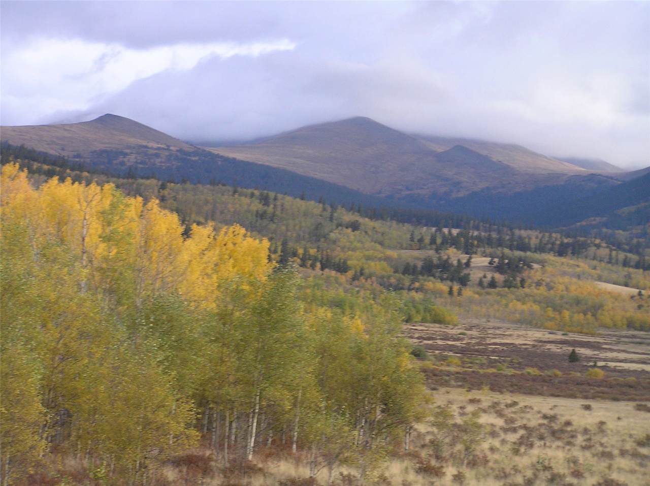 918 Little Baldy Circle - Photo 1