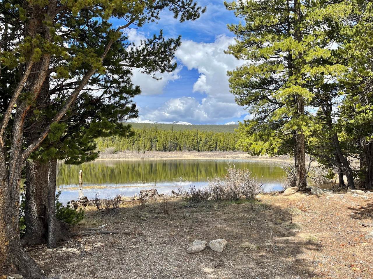 2203 Lakeside Drive - Photo 1
