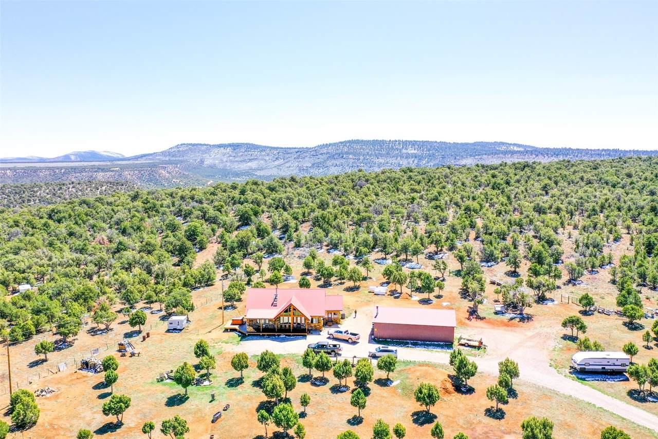 76 County Road 60B - Photo 1