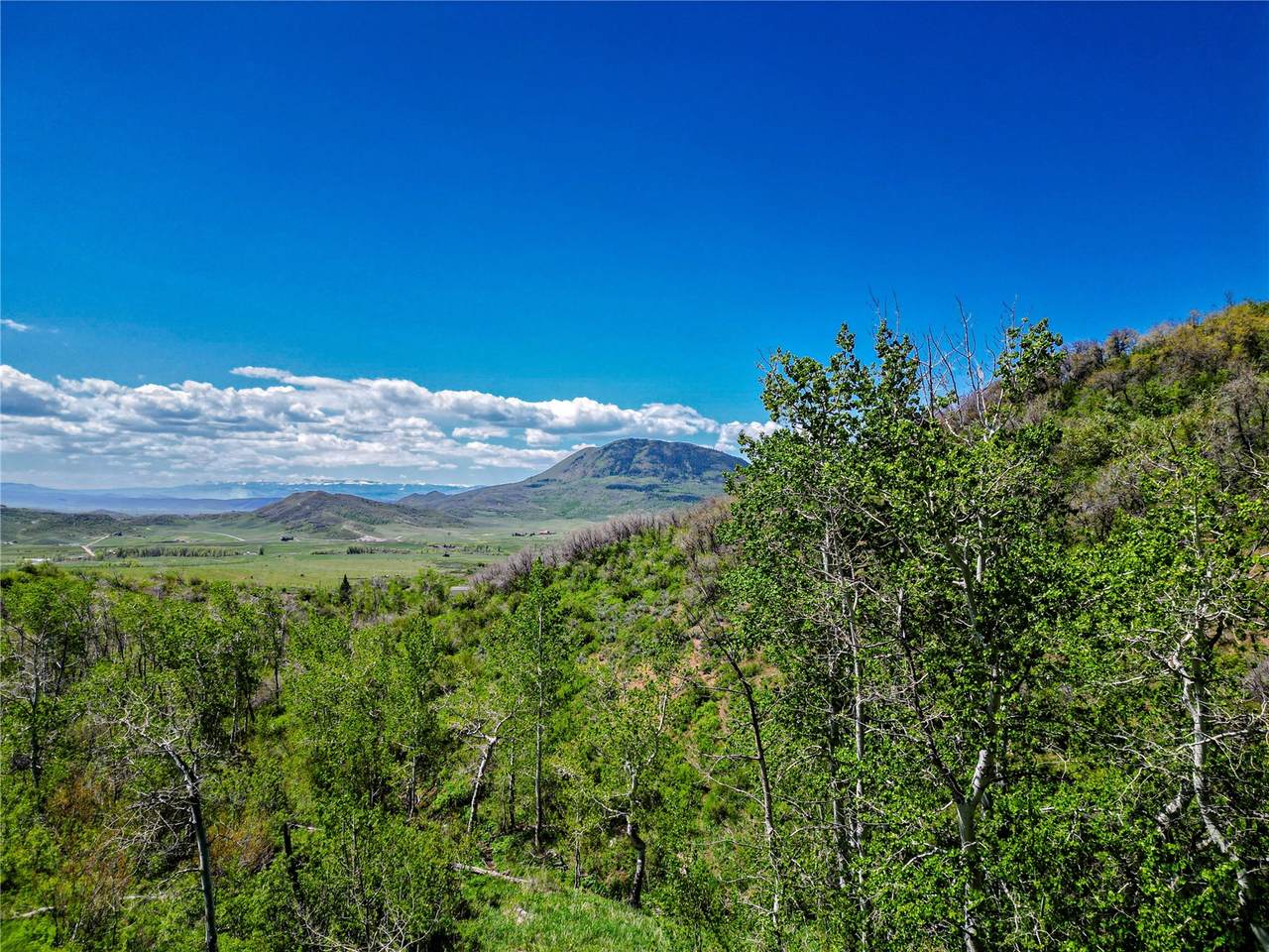 000 County Road 129 - Photo 1