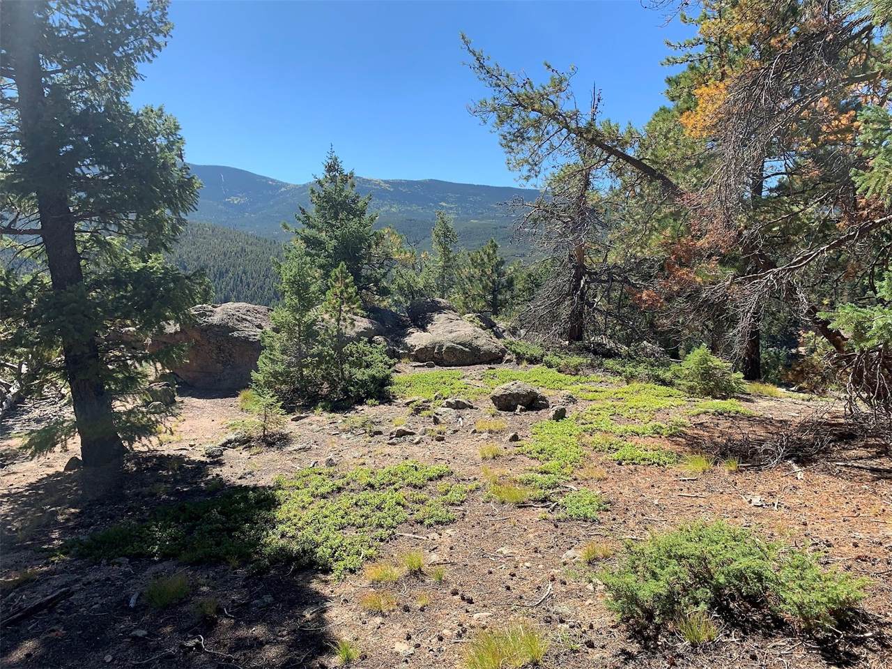 32764 Lodgepole Circle - Photo 1