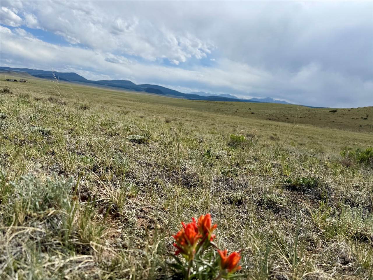TBD Antero Drive - Photo 1