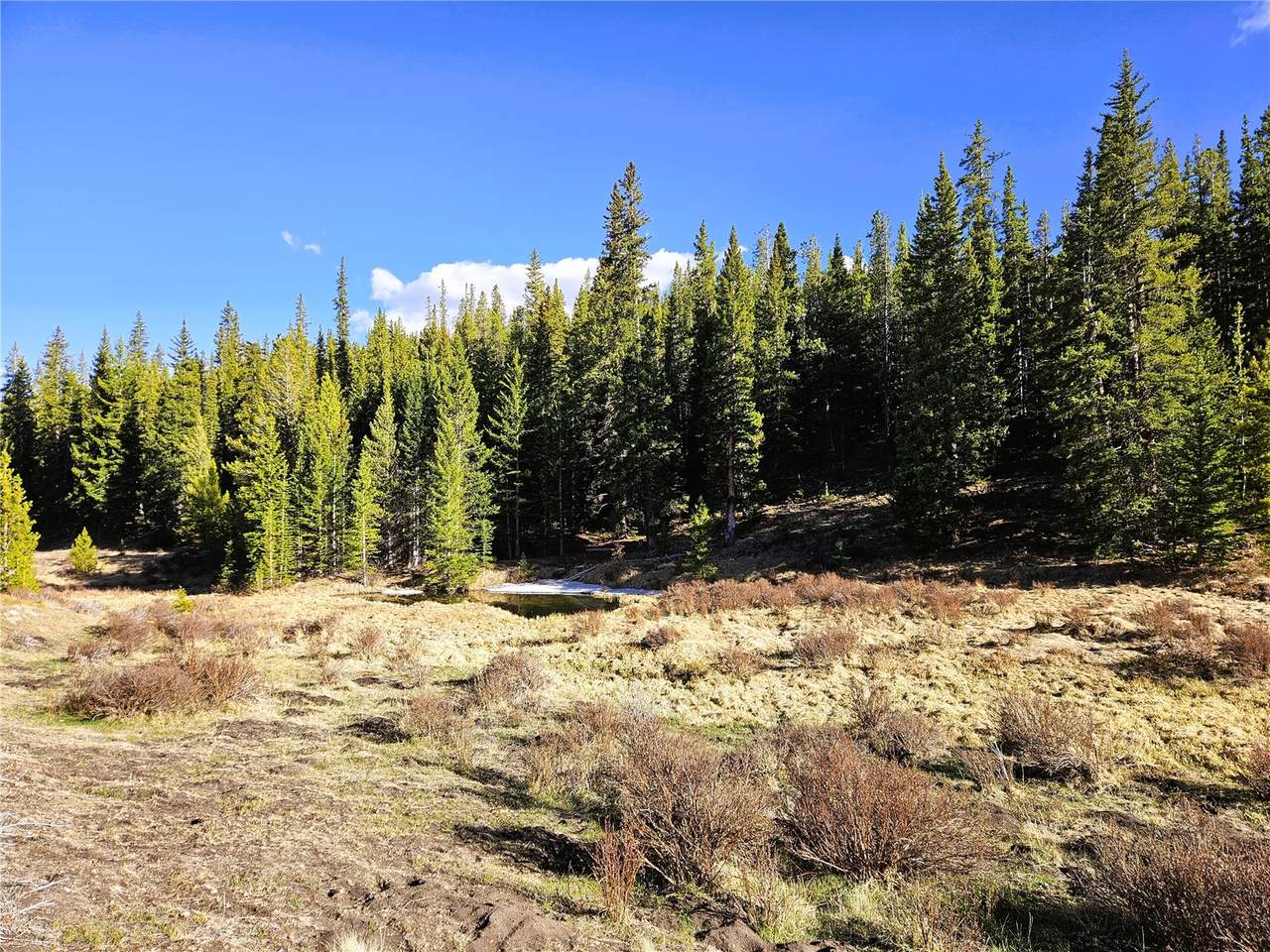 https://bt-photos.global.ssl.fastly.net/summit/1280_boomver_3_S1068854-2.jpg