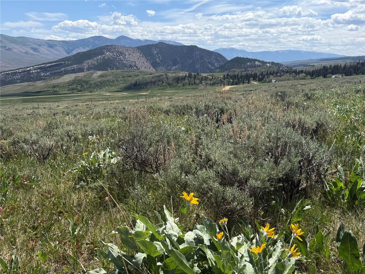 TBD Spring Creek Ranch Road - Photo 1