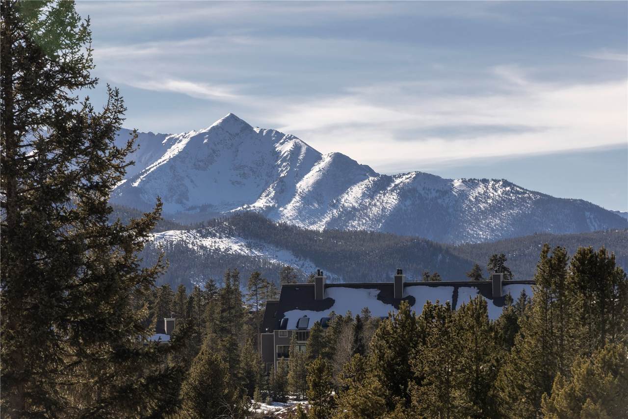 35 Argentine Court - Photo 1